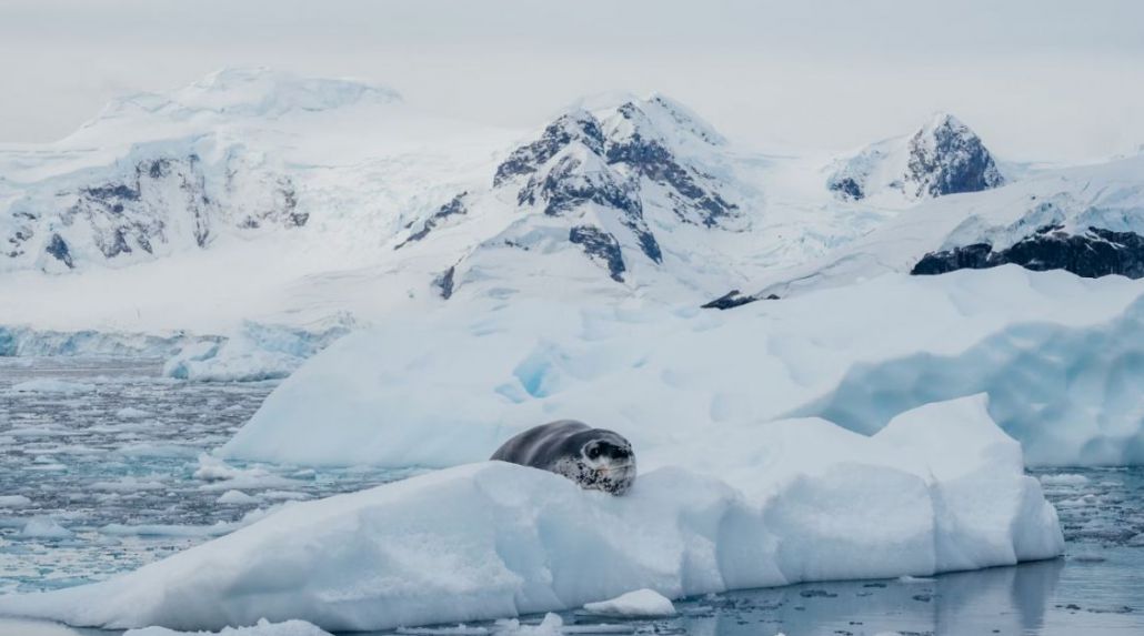 Embark on your own perfect polar adventure